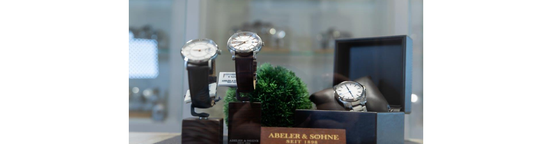 Abeler und Söhne quer MG_4086